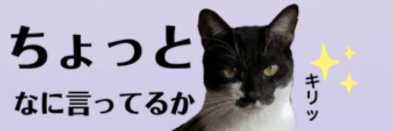 jojo_taimode's profile banner image