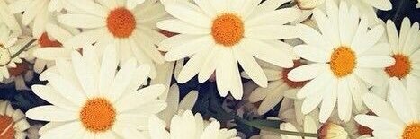 ValeryAlison2's profile banner image