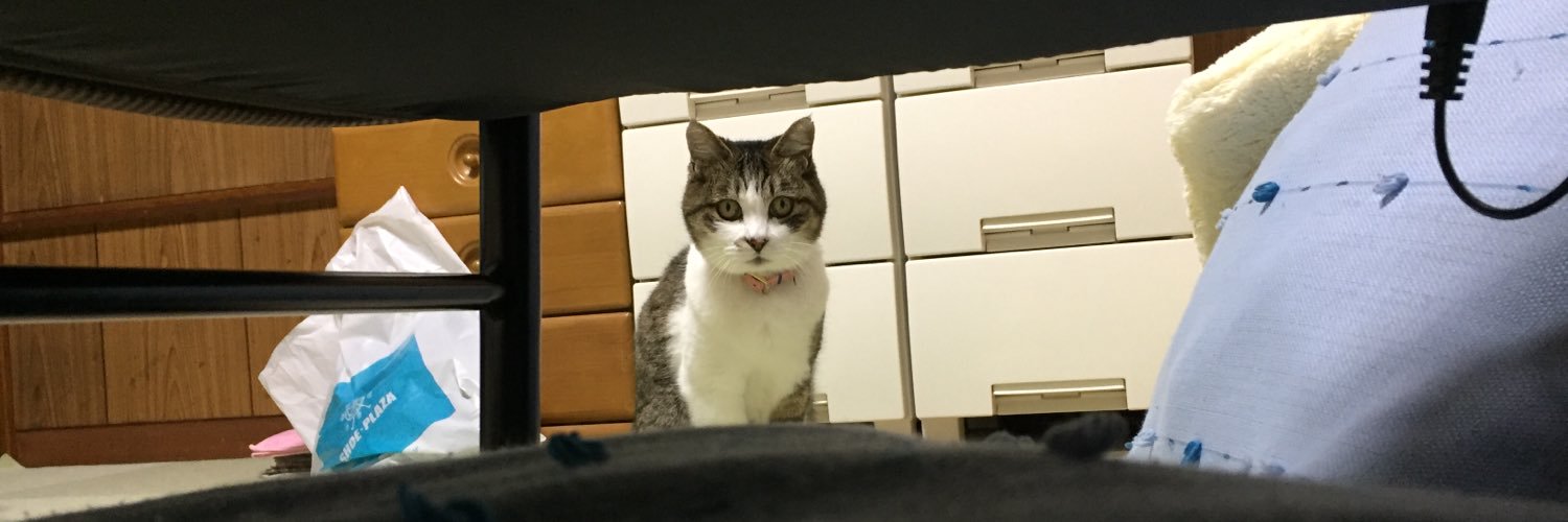 new_wafer's profile banner image