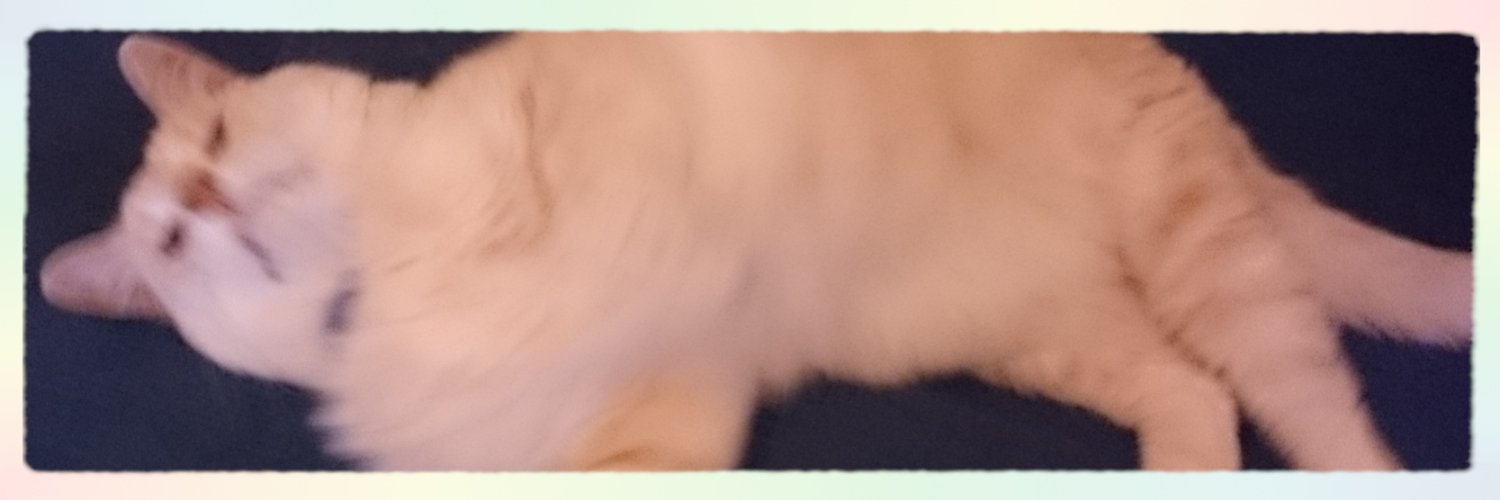 kr_sk11's profile banner image
