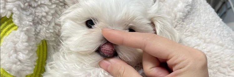 ꋪ꒯☁️ft.กิ๊งต๊อกปุ๋งแป๋ว banner