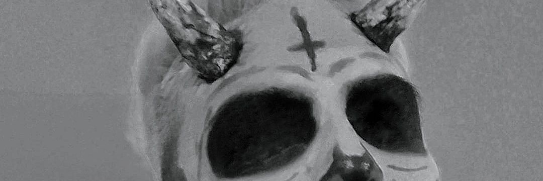 EdderQuiroga's profile banner image