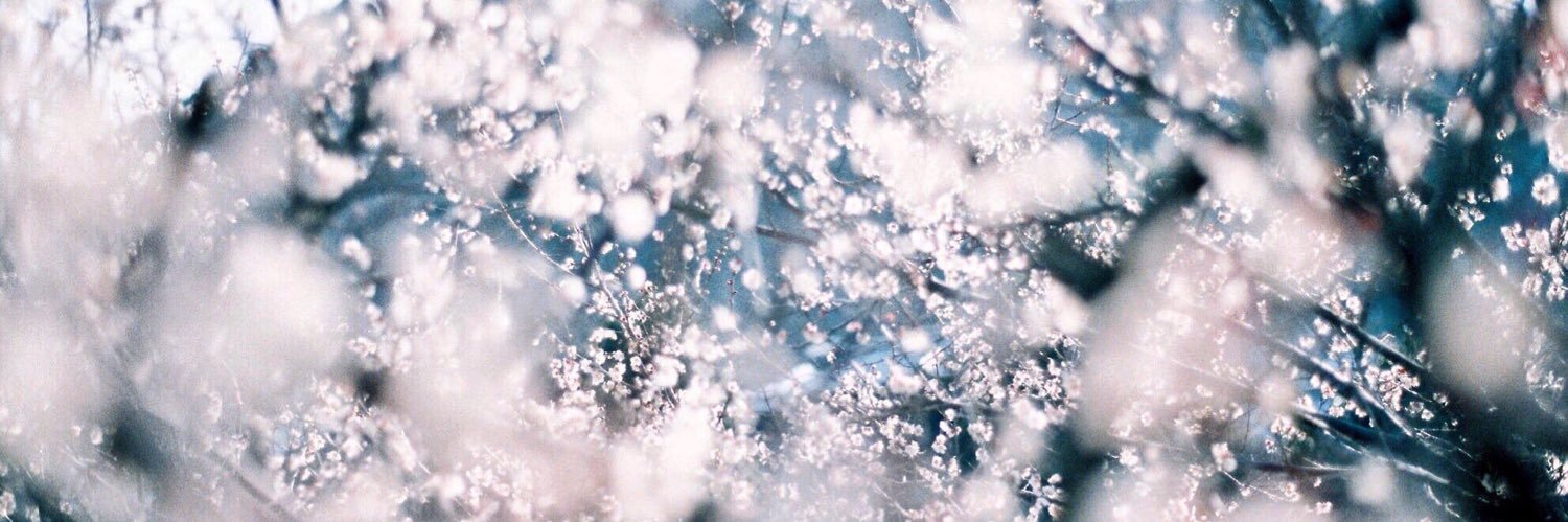 otoka1230's profile banner image