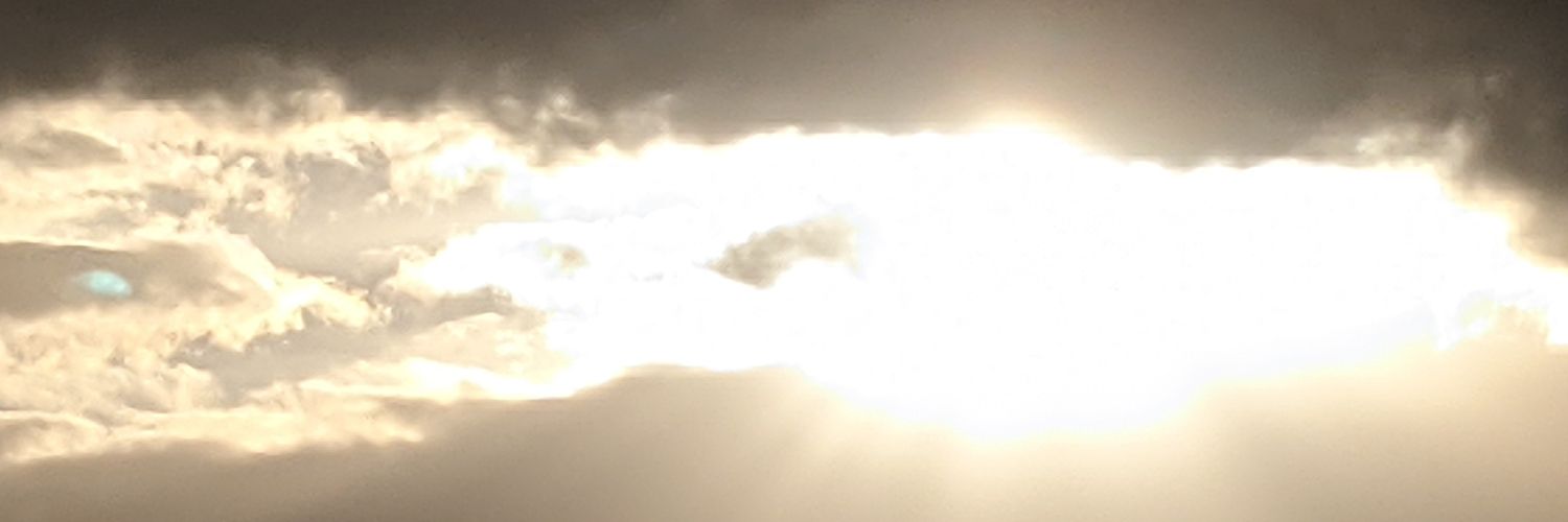 pureirons's profile banner image