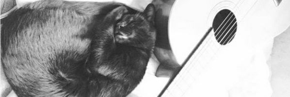 LuaBringas's profile banner image