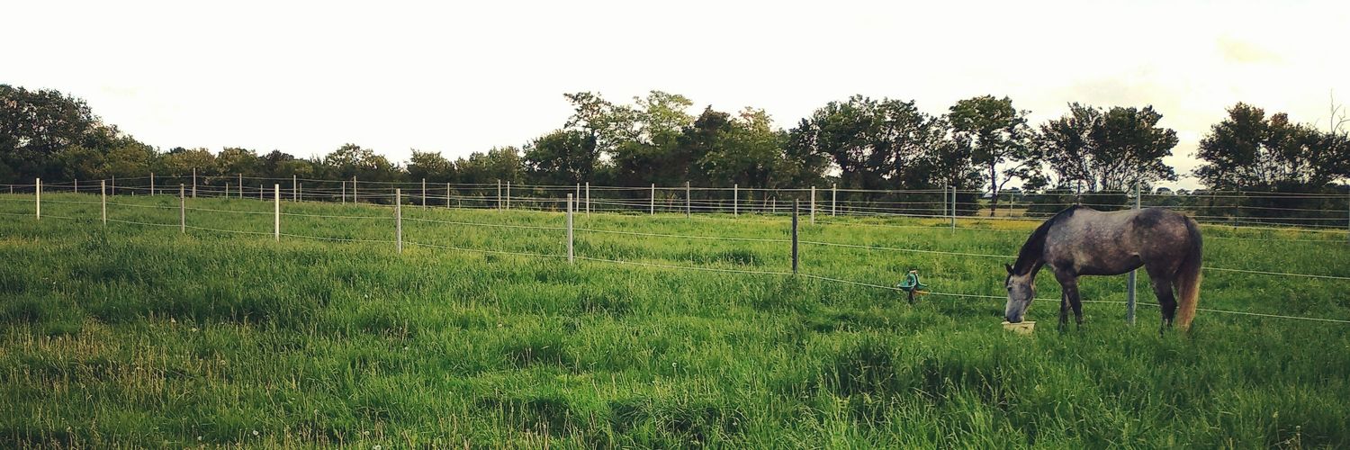 Maillard_B's profile banner image