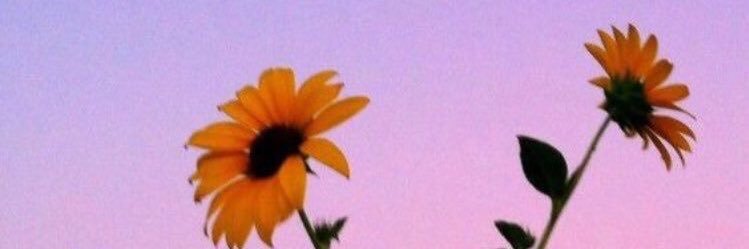 𝐇𝐢𝐬𝐭𝐨𝐫𝐲 banner