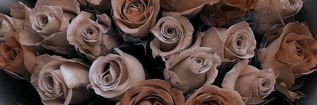 _joyAna's profile banner image