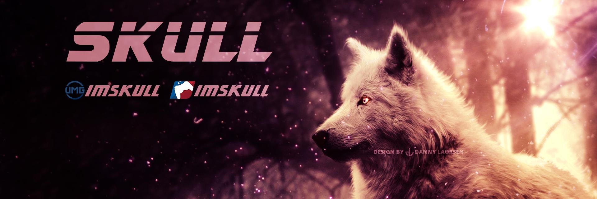 Skull banner