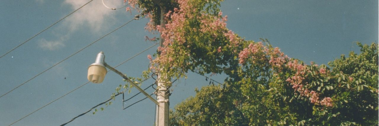 s_a_e_m_'s profile banner image