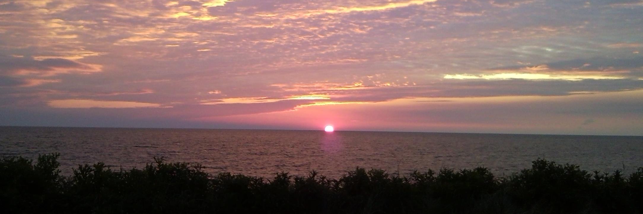 H. Alan Seibert banner