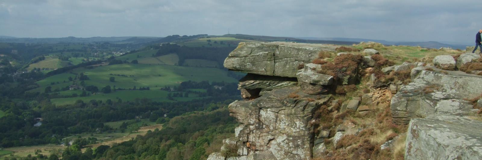 Debbie Alston banner