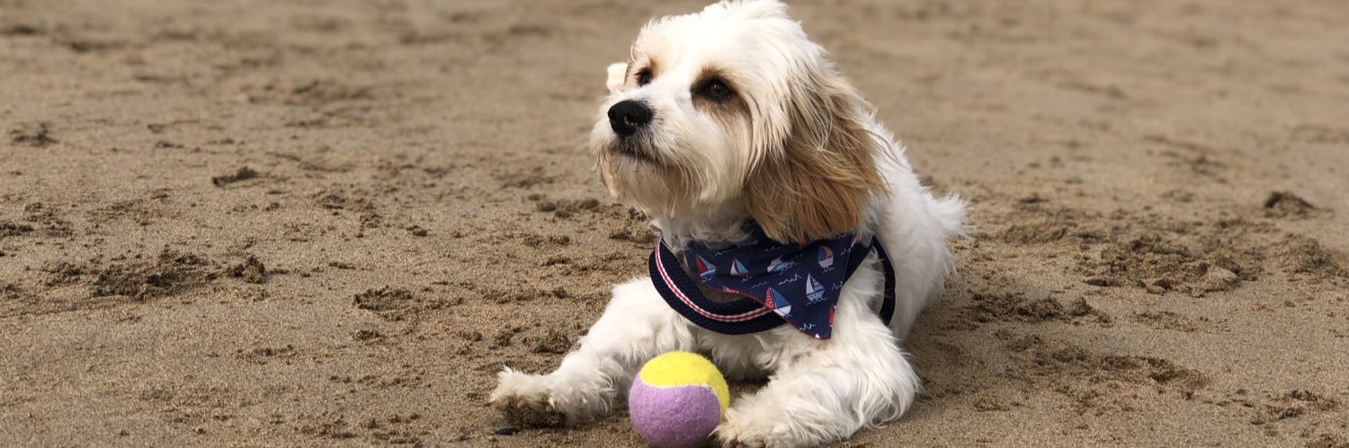 Katherine Raven banner