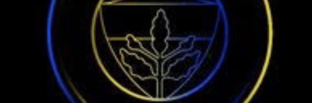 SKaya47's profile banner image