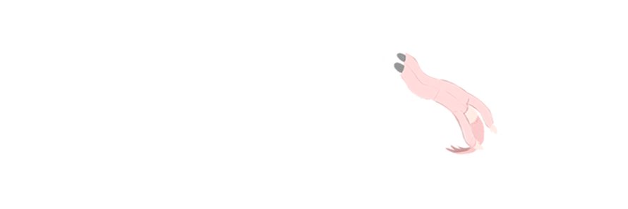 29chan_man's profile banner image