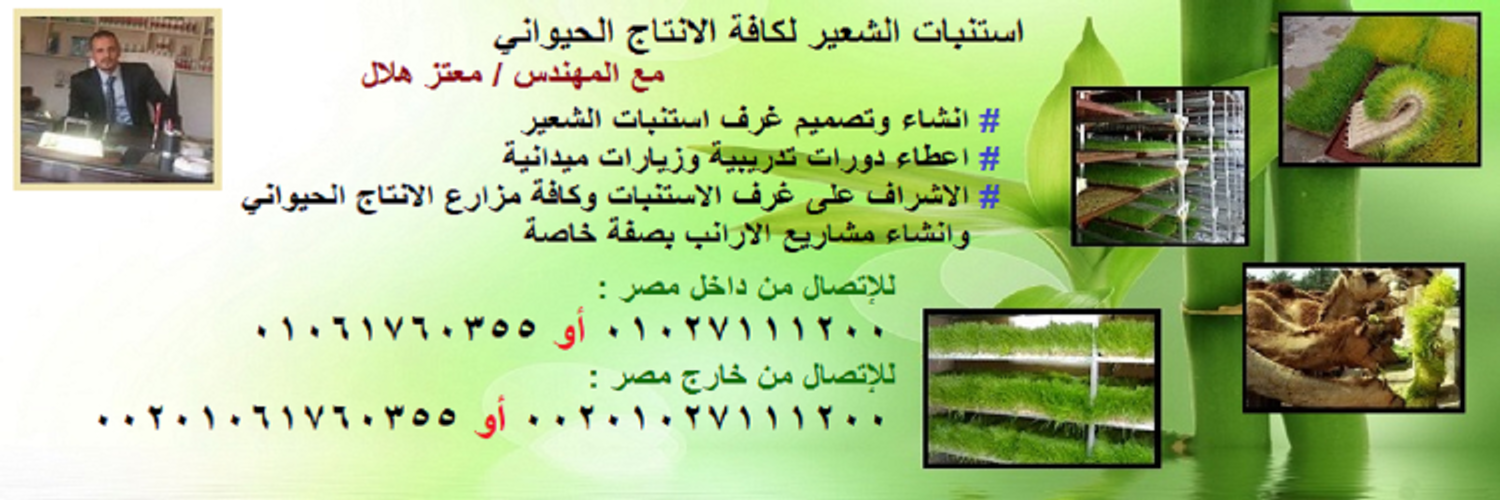 استنبات الشعير (estnbat) Twitter