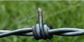 sickular_orgasm's profile banner image