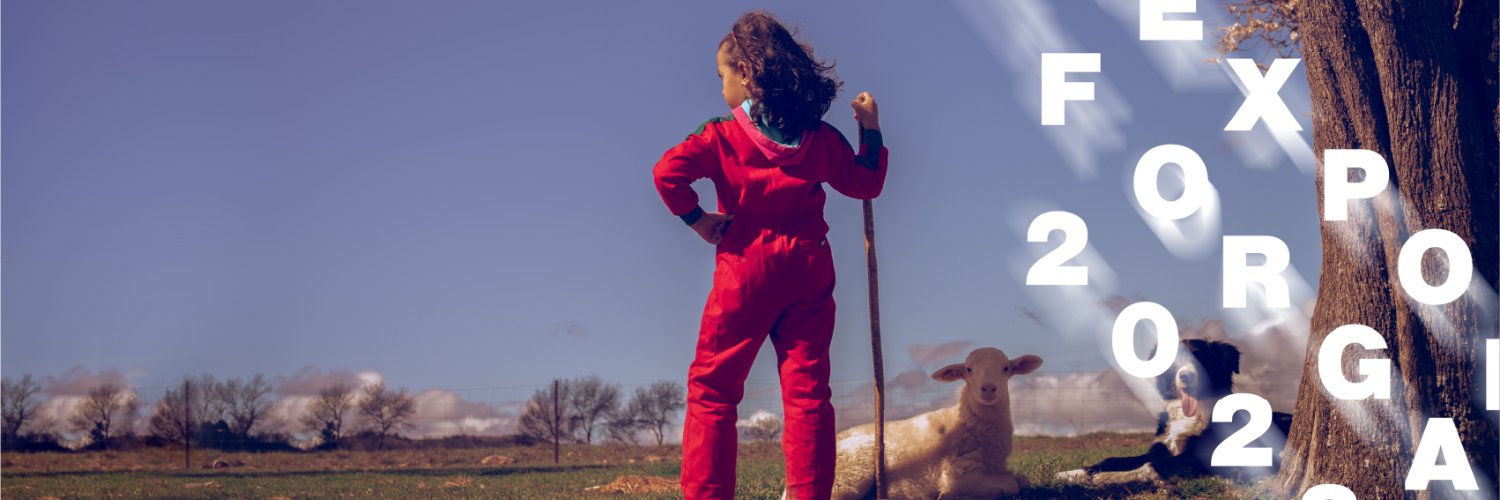 Feria Expoforga banner