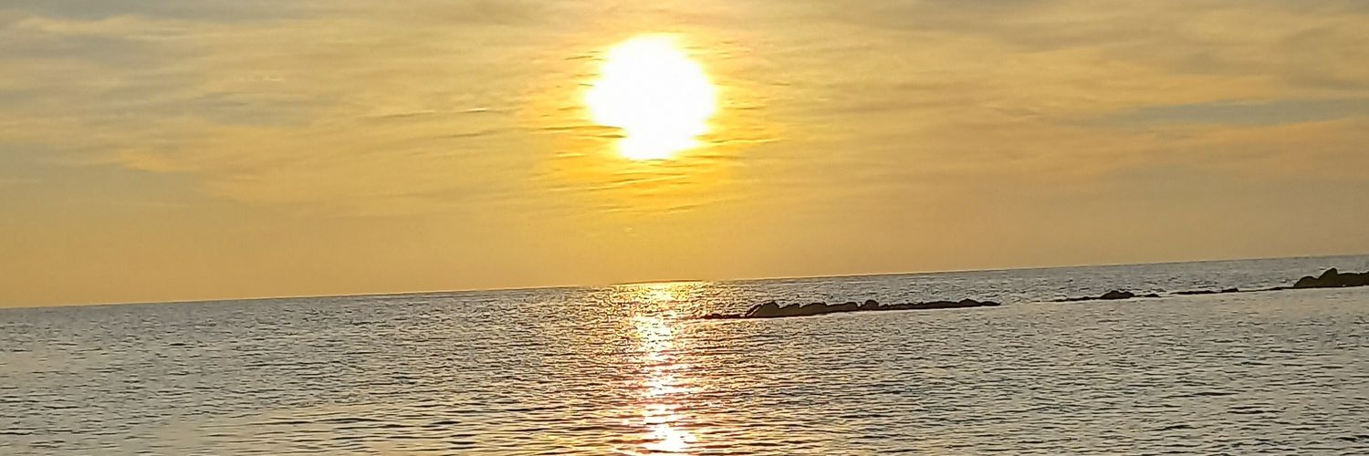 815_329's profile banner image