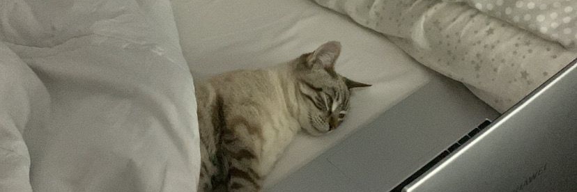 ruloalg's profile banner image
