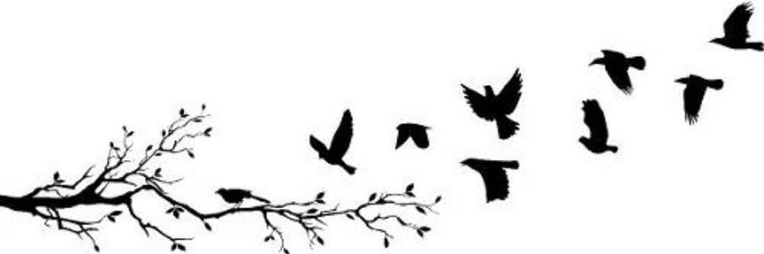 kuwaitforever84's profile banner image