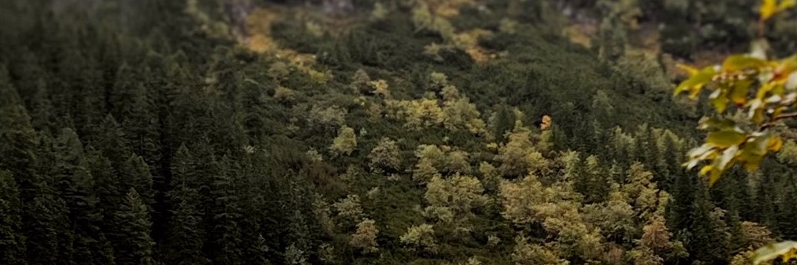 stranger_to_him's profile banner image
