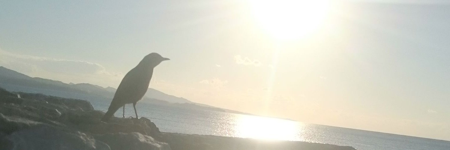 LUCKROOL's profile banner image