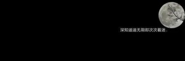 Ankeer169 Profile Banner