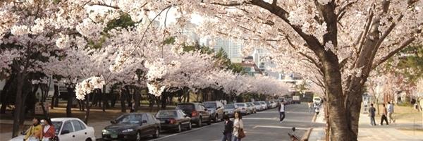 Harang22's profile banner image
