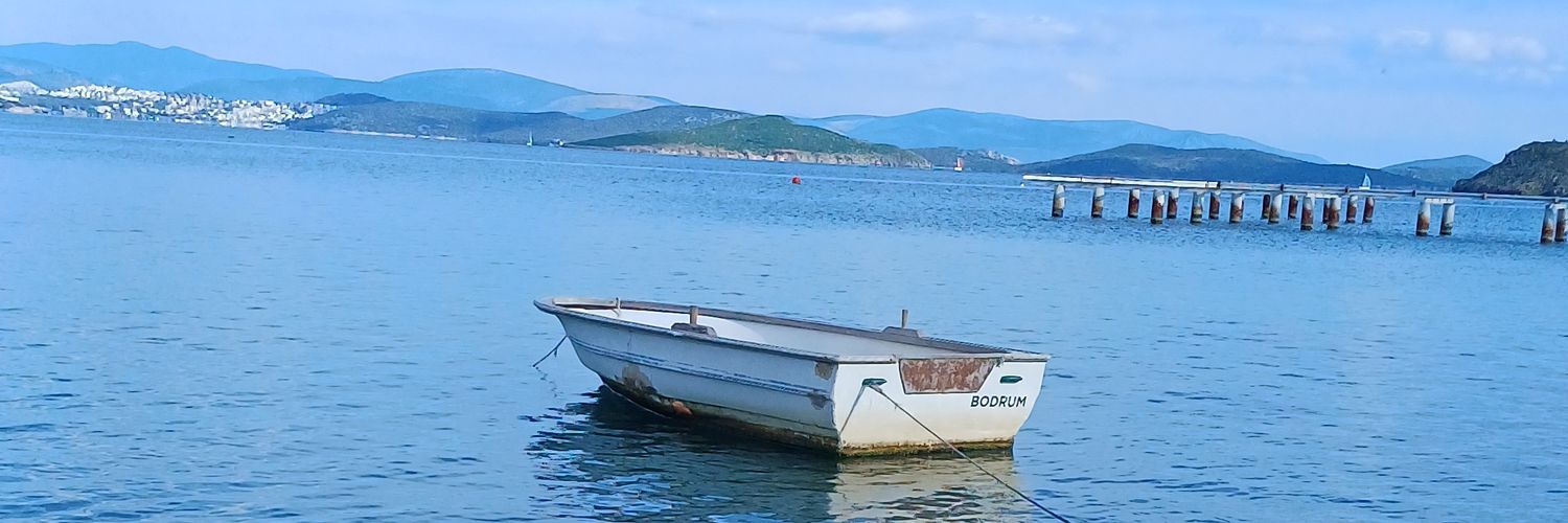 alp_celik's profile banner image