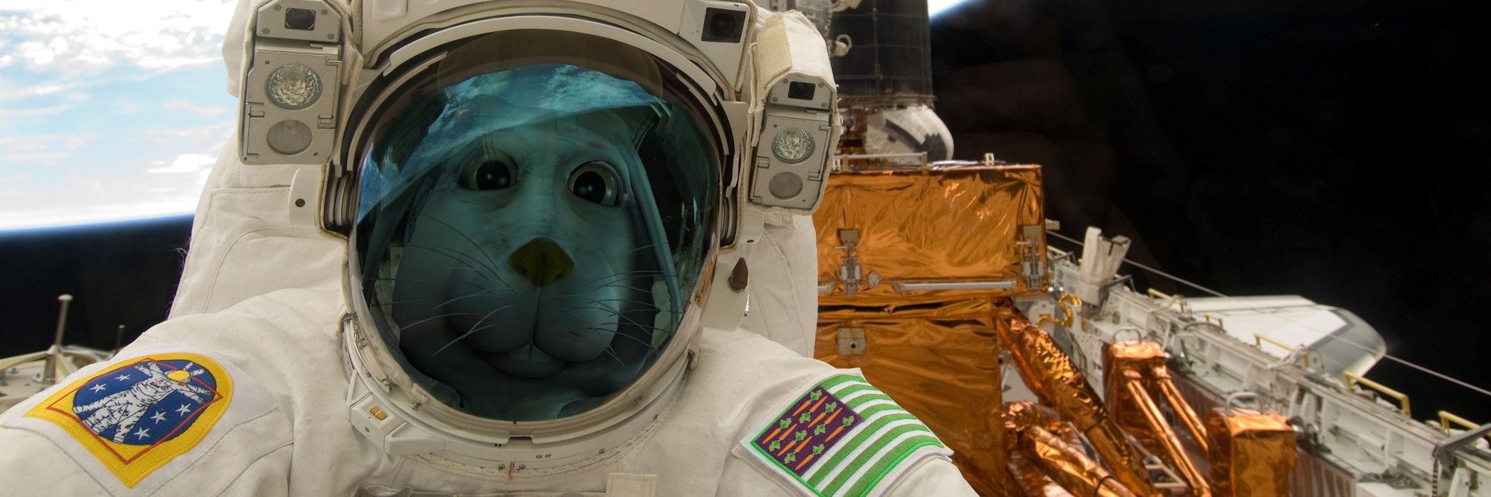 MeisterMoose's profile banner image