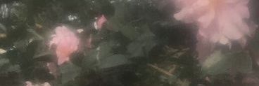 ethereall_s's profile banner image