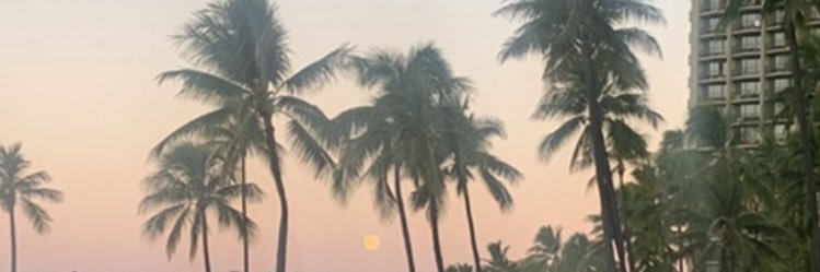 Lovers gonna Love! banner