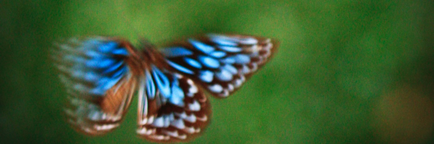 VicGoodyear's profile banner image