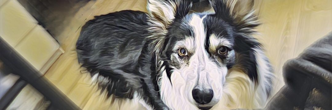 Missydante's profile banner image