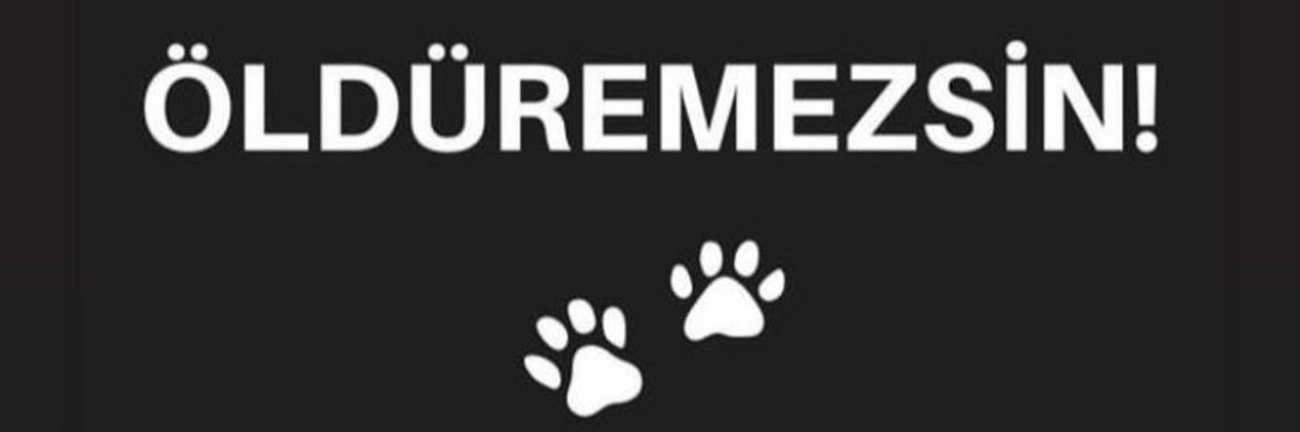 sevilmuco's profile banner image