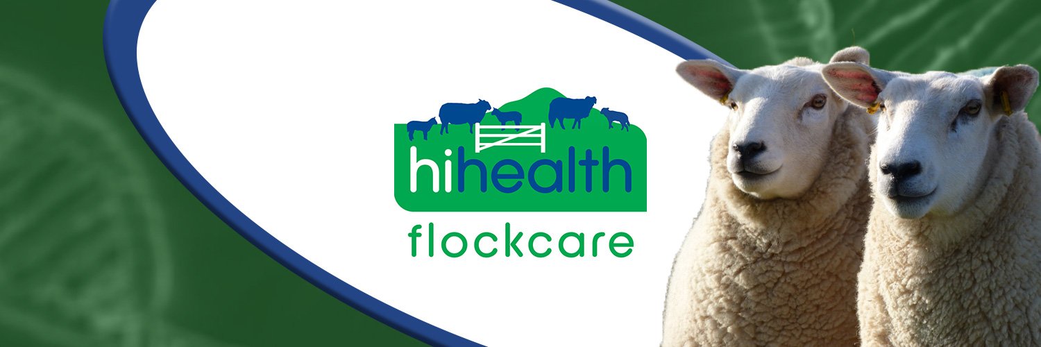 HHFlockcare's profile banner image