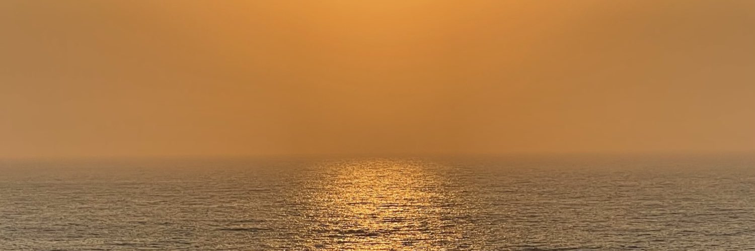 berringokk's profile banner image