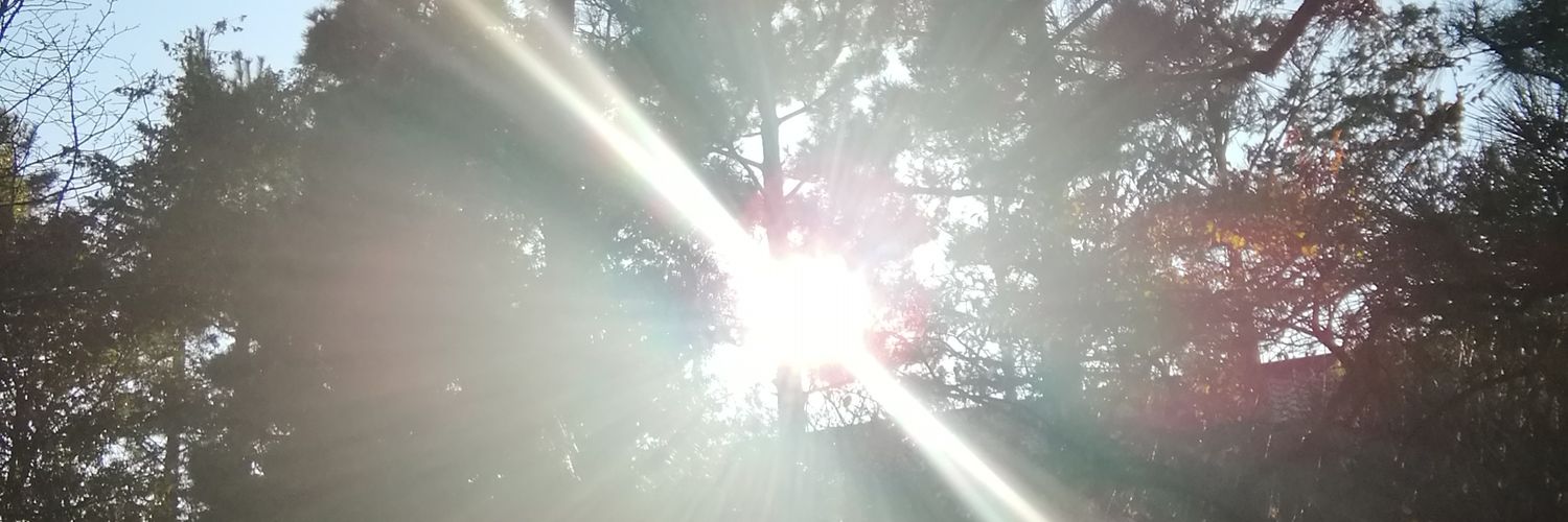nyandemi's profile banner image