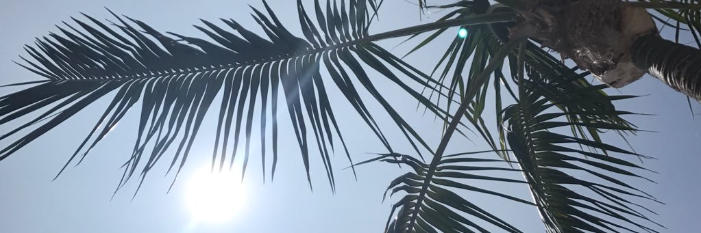 ShanReed's profile banner image