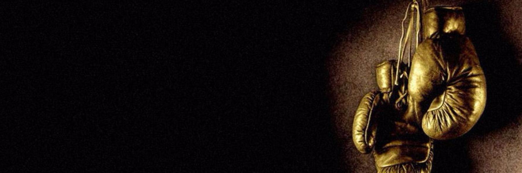 BenignDefender's profile banner image
