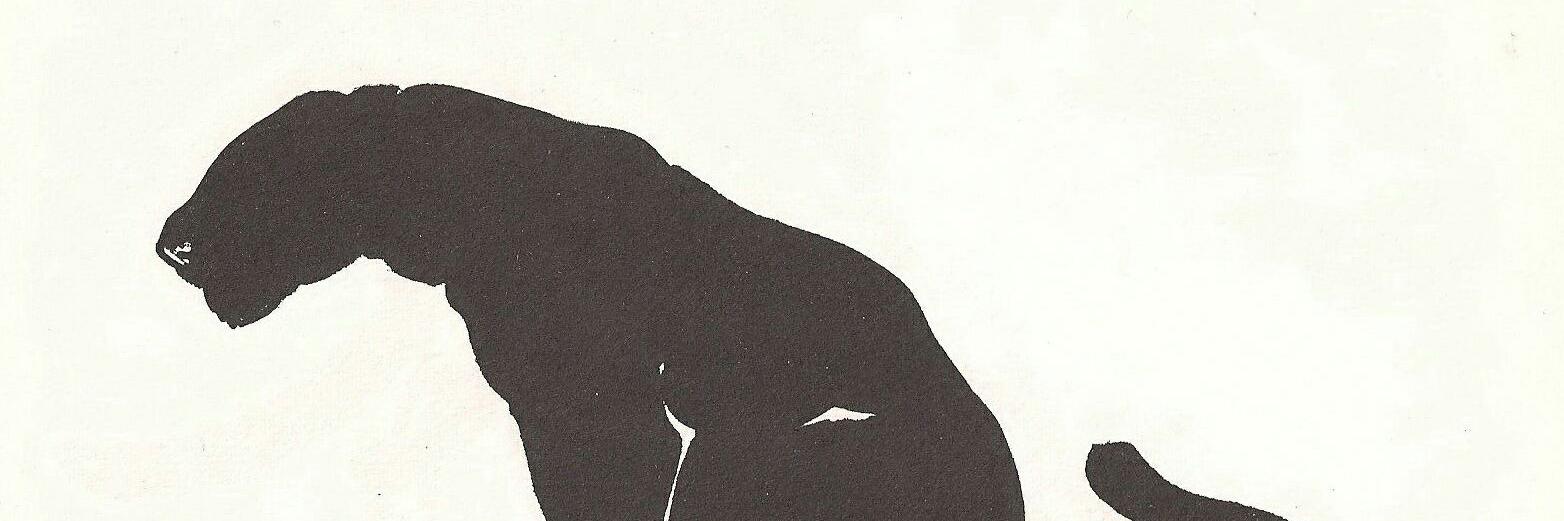 sfristachi's profile banner image