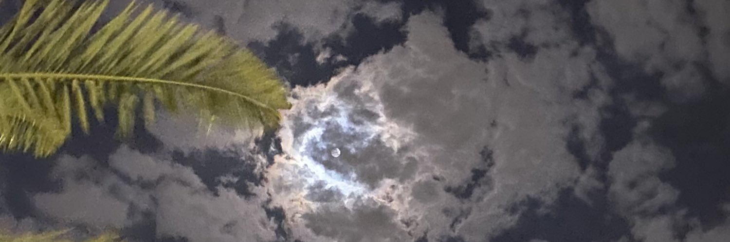 iieuv0's profile banner image