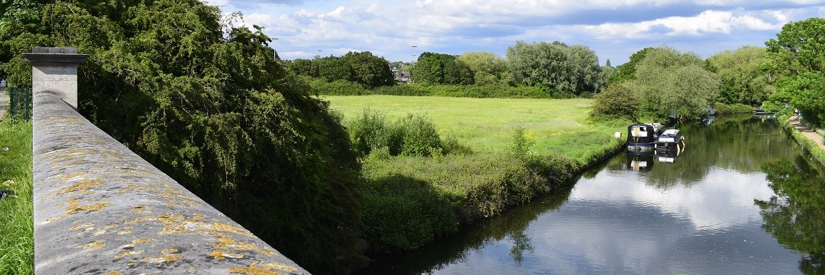 Albertina McNeill banner