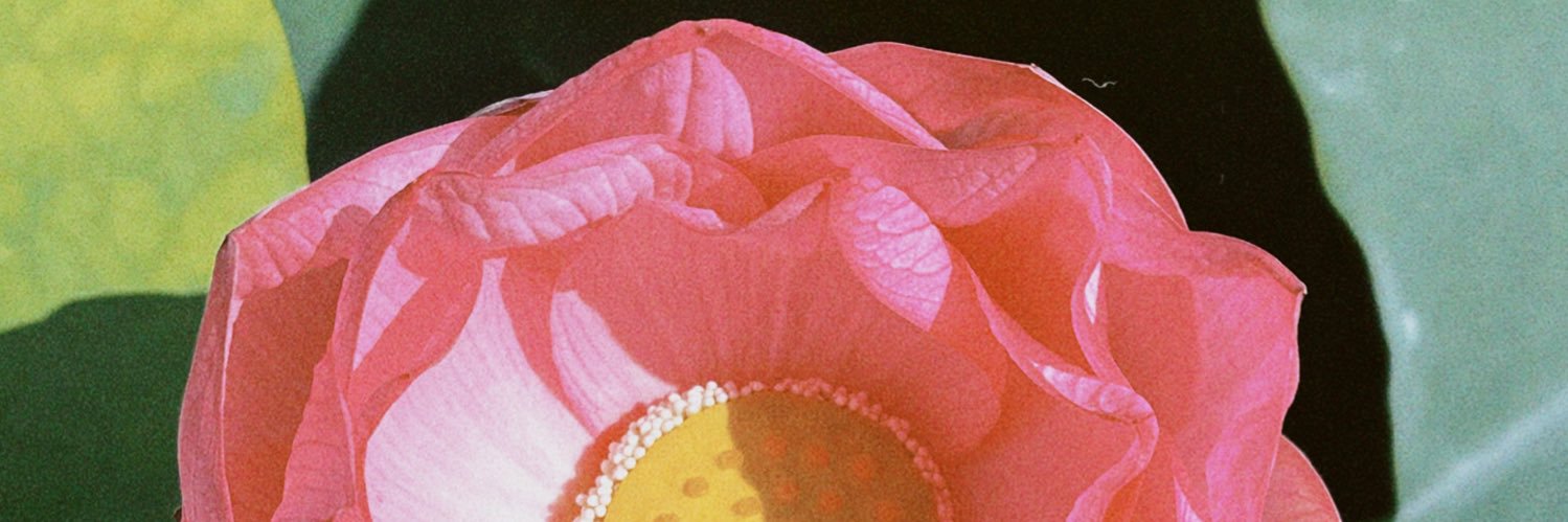 sngmsngm's profile banner image