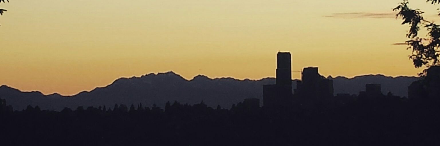 Michael Lacker banner