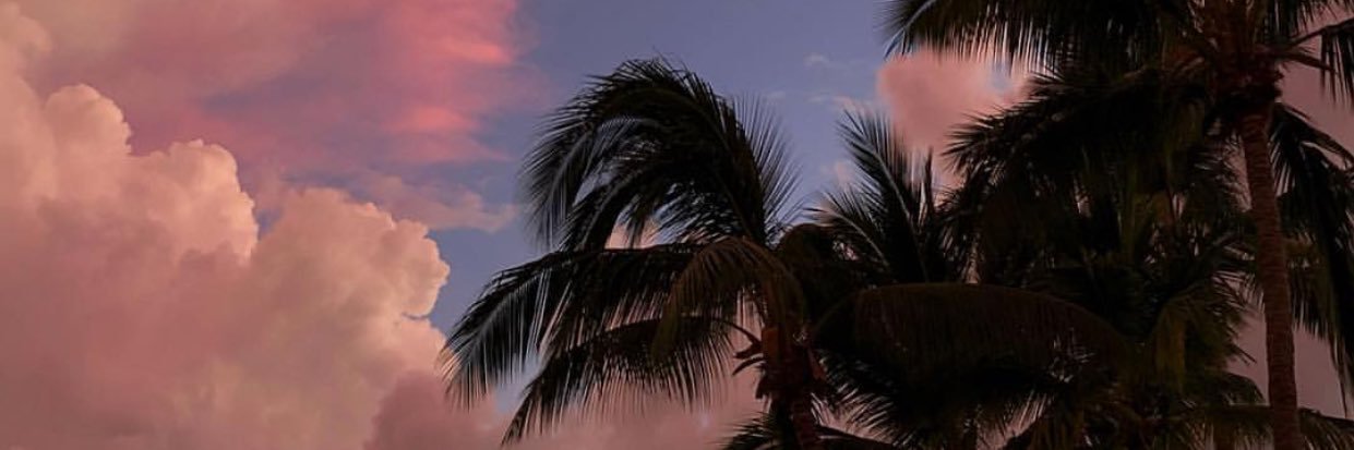 xwndz's profile banner image