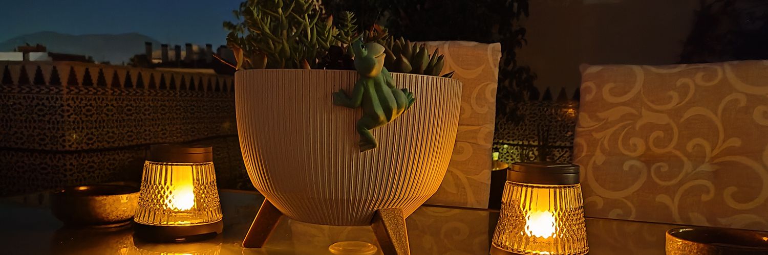 Lourdes🌹🔻❤️💜📚🇪🇦🇪🇺🇵🇸 banner