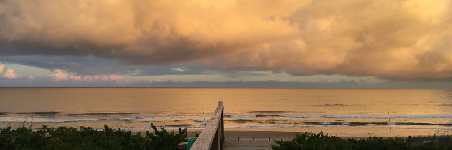 PfeiferDiane's profile banner image
