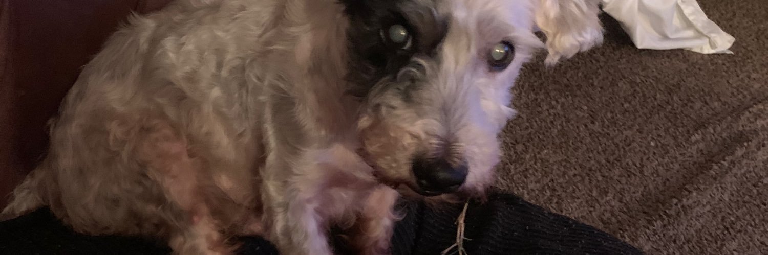 snoopchase's profile banner image